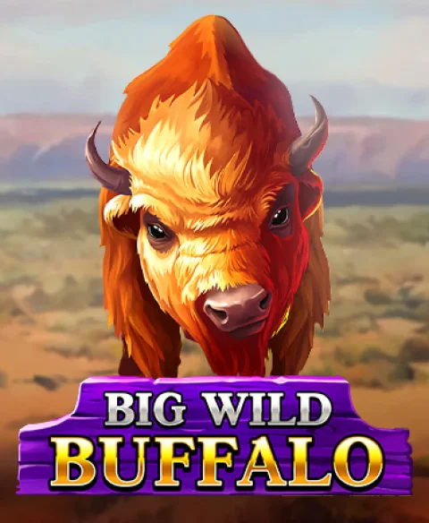 Play Big Wild Buffalo at Slots Gold Hero Casino